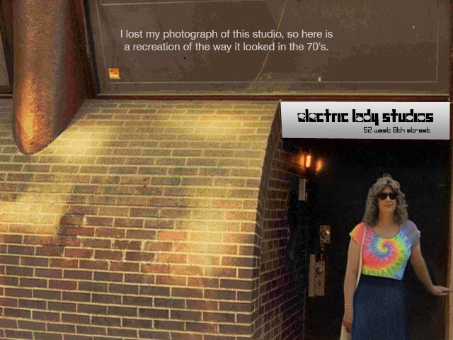 Electric Lady - Wendy Dunham