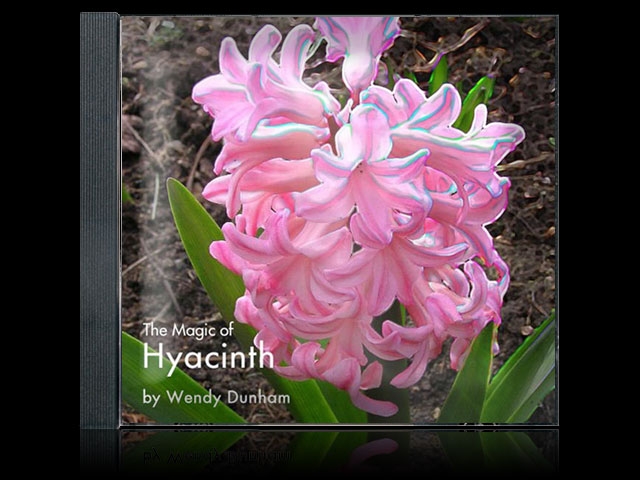 The Magic Of Hyacinth - Wendy Dunham